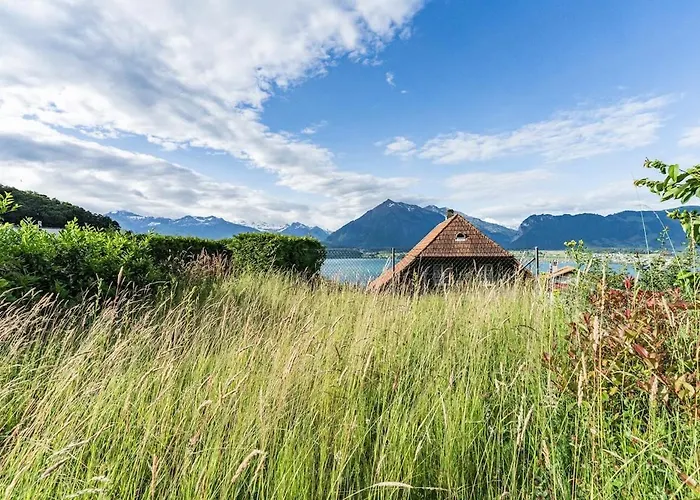 Light-filled With Panoramic Views